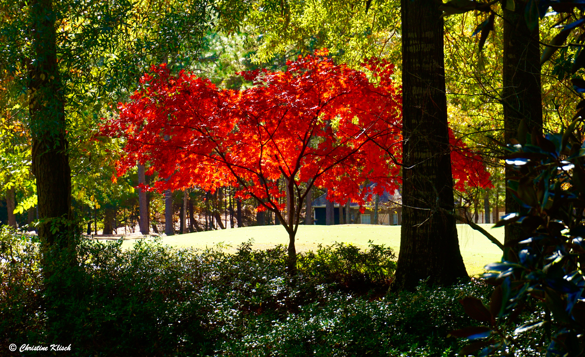 Woodside, Aiken, SC - November 2019